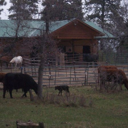 Elktrace Bed And Breakfast Pagosa Springs Ngoại thất bức ảnh