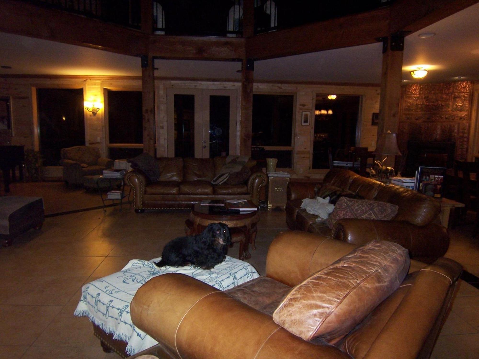 Elktrace Bed And Breakfast Pagosa Springs Ngoại thất bức ảnh