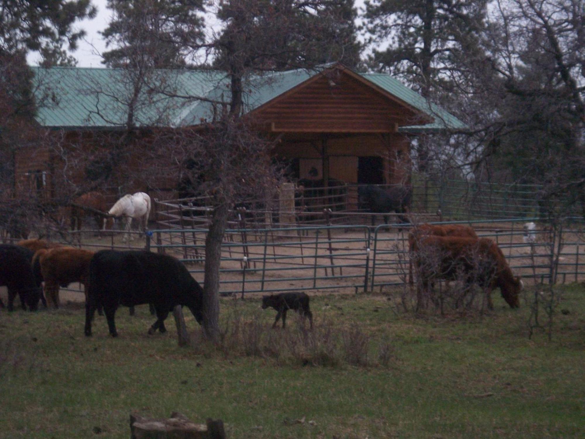 Elktrace Bed And Breakfast Pagosa Springs Ngoại thất bức ảnh