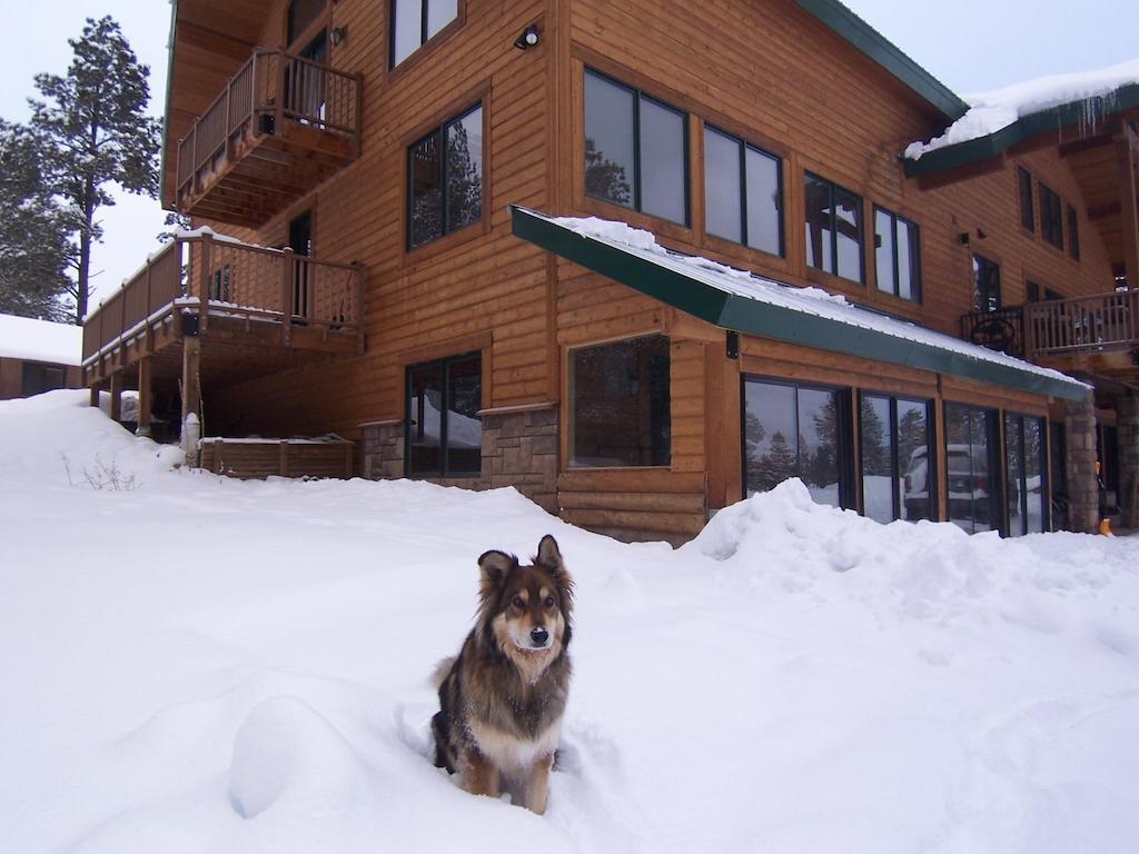 Elktrace Bed And Breakfast Pagosa Springs Ngoại thất bức ảnh