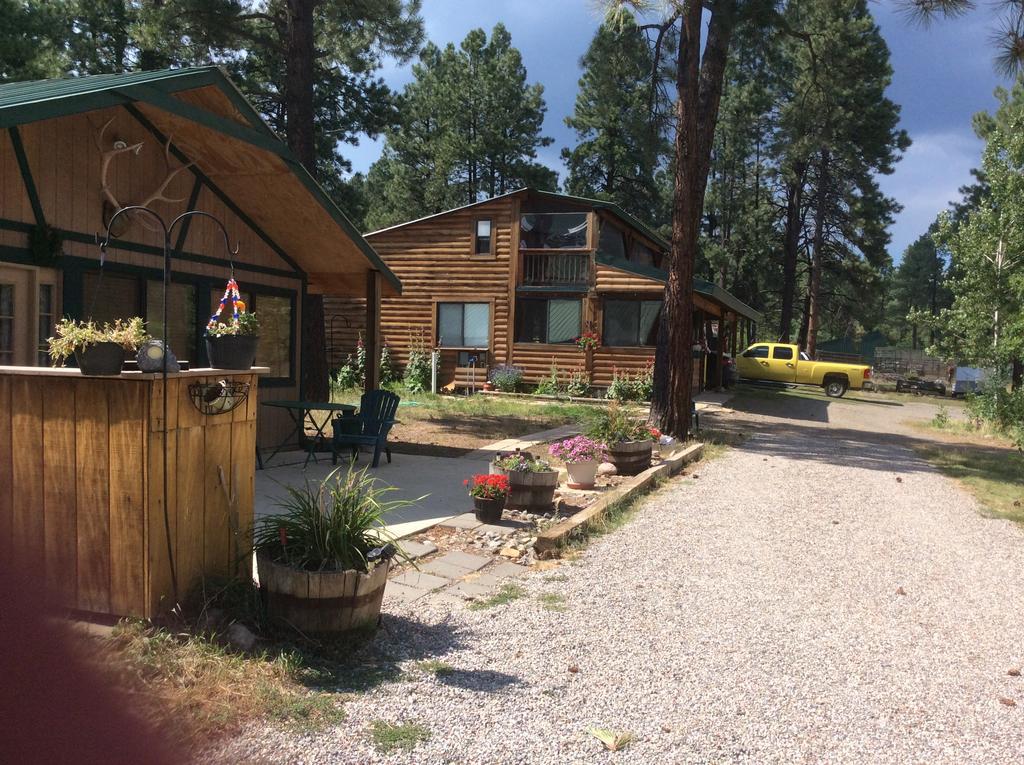 Elktrace Bed And Breakfast Pagosa Springs Ngoại thất bức ảnh