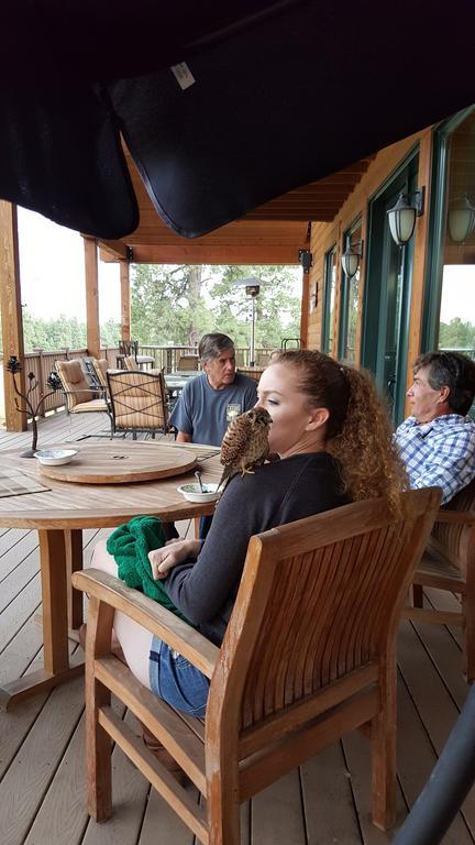Elktrace Bed And Breakfast Pagosa Springs Ngoại thất bức ảnh