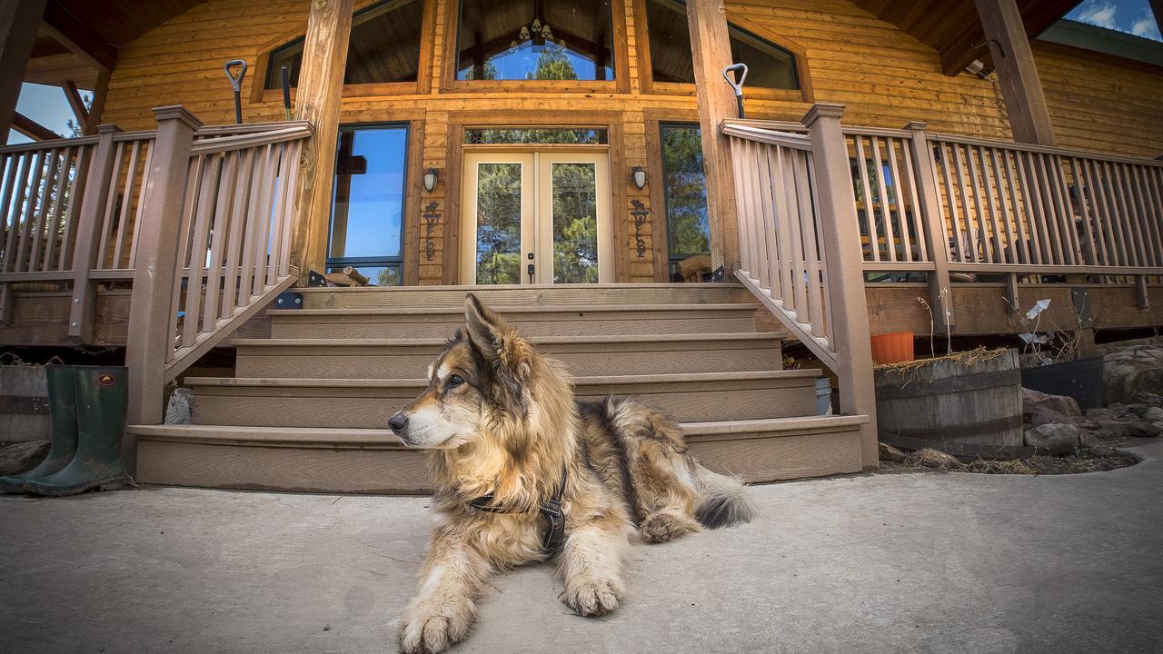 Elktrace Bed And Breakfast Pagosa Springs Ngoại thất bức ảnh
