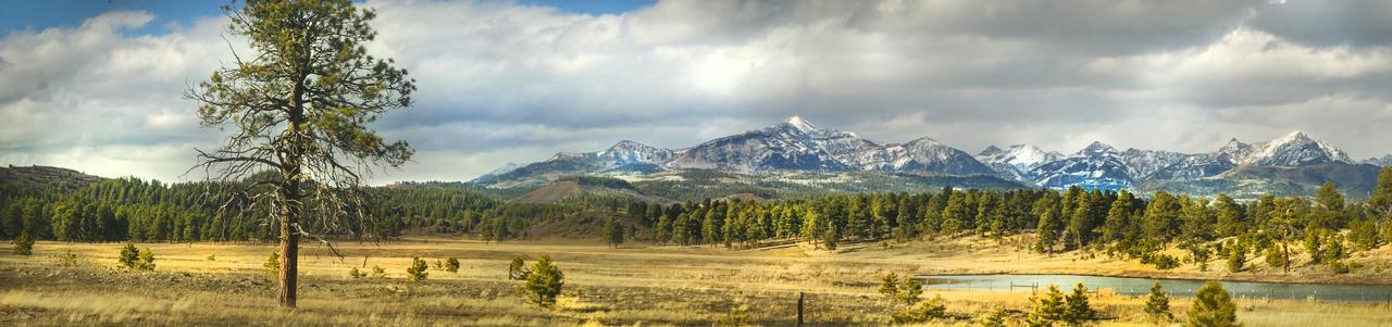 Elktrace Bed And Breakfast Pagosa Springs Ngoại thất bức ảnh